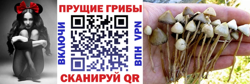 как найти закладки  Мглин  OMG зеркало  Галлюциногенные грибы ЛСД 